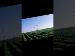 Bimetallic Sleeve Bearing Flanged For Construction Machinery